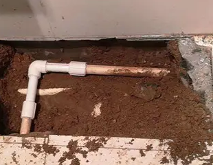 省直辖县测漏水哪家好