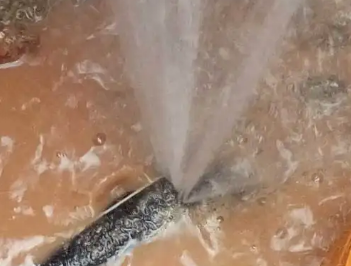 省直辖县水管漏水检测哪家好