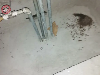 省直辖县卫生间测漏水价格明细